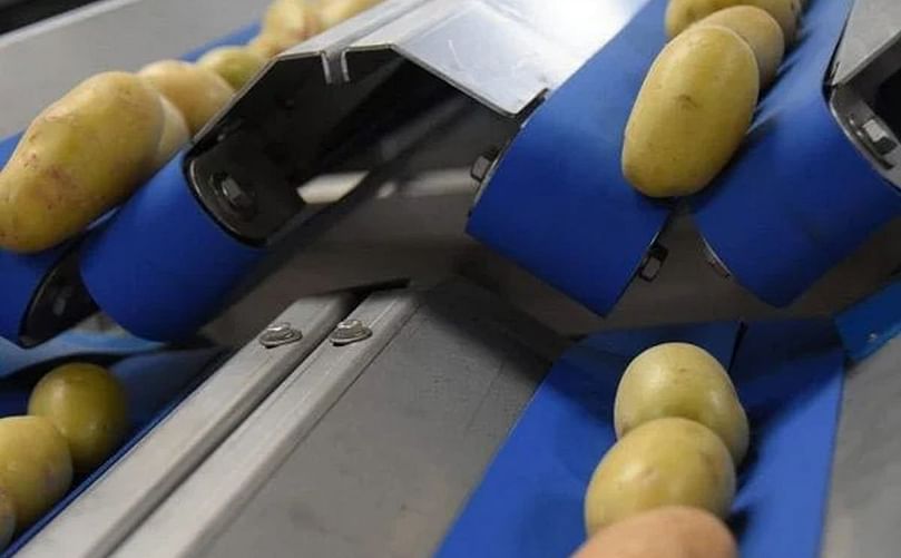 Self-learning Software for potato grading