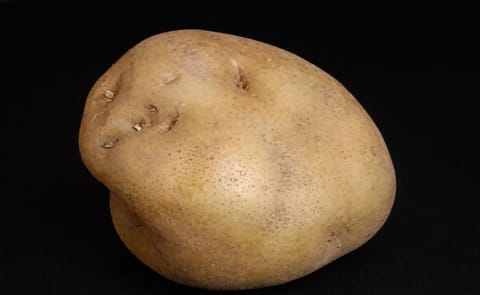 España: Recuperan variedad de papa de altura España: Recuperan variedad de papa de altura