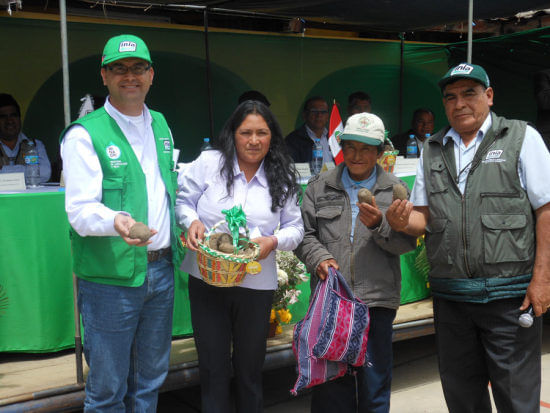 Liberan nueva variedad de papa en Perú