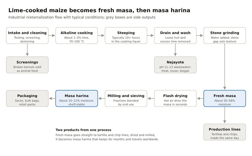 Corn masa and masa harina production process. Corn masa and masa harina production process.