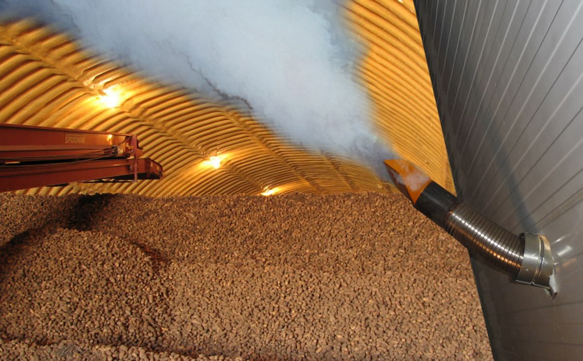 Codex Alimentarius adopts the MRL for 1,4-dimethylnaphthalene - a new standard for food safety fostering international trade Codex Alimentarius adopts the MRL for 1,4-dimethylnaphthalene - a new standard for food safety fostering international trade