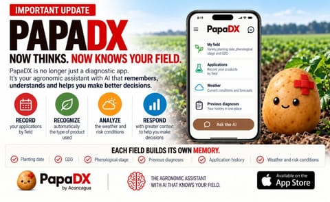 PapaDX introduces field-level memory, enabling its AI agronomic assistant to use crop history, applications, weather, GDD, growth stage and previous diagnoses to provide more contextual support for potato growers PapaDX introduces field-level memory, enabling its AI agronomic assistant to use crop history, applications, weather, GDD, growth stage and previous diagnoses to provide more contextual support for potato growers
