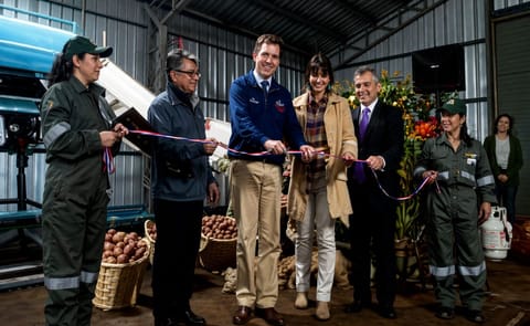 Prodinsur inauguró en Chile un packing procesador de papas Prodinsur inauguró en Chile un packing procesador de papas