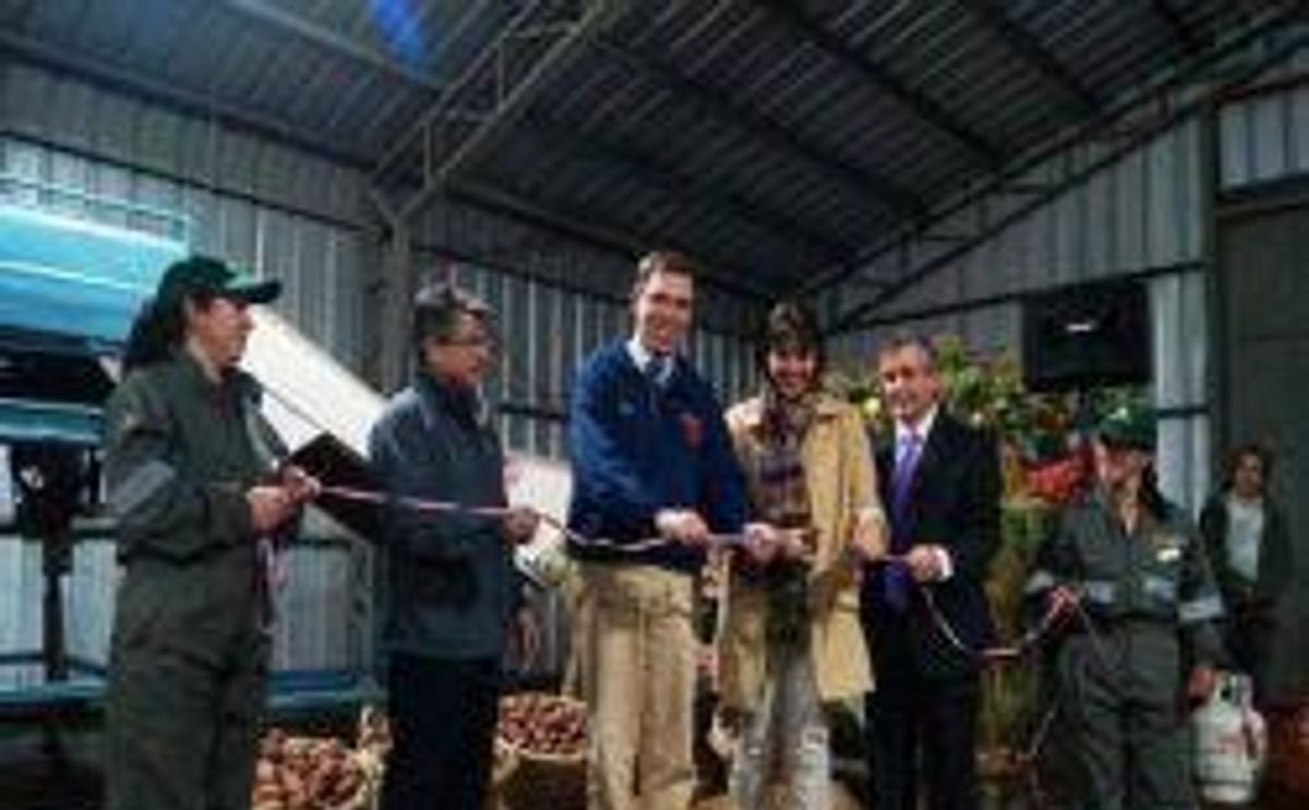 Prodinsur inauguró en Chile un packing procesador de papas