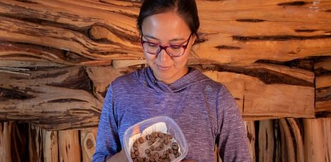 Cynthia Wilson (Diné), director of Utah Diné Bikéyah Traditional Foods Program, holds potatoes that have grown in Utah for more than 11000 years