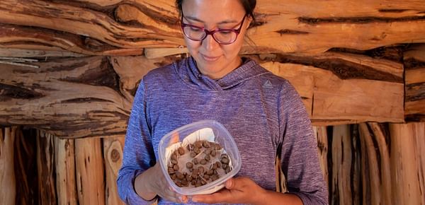 Cynthia Wilson (Diné), director of Utah Diné Bikéyah Traditional Foods Program, holds potatoes that have grown in Utah for more than 11000 years