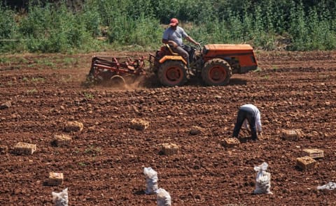Analizan metodologías para restar efectos del cambio climático en la papa Analizan metodologías para restar efectos del cambio climático en la papa