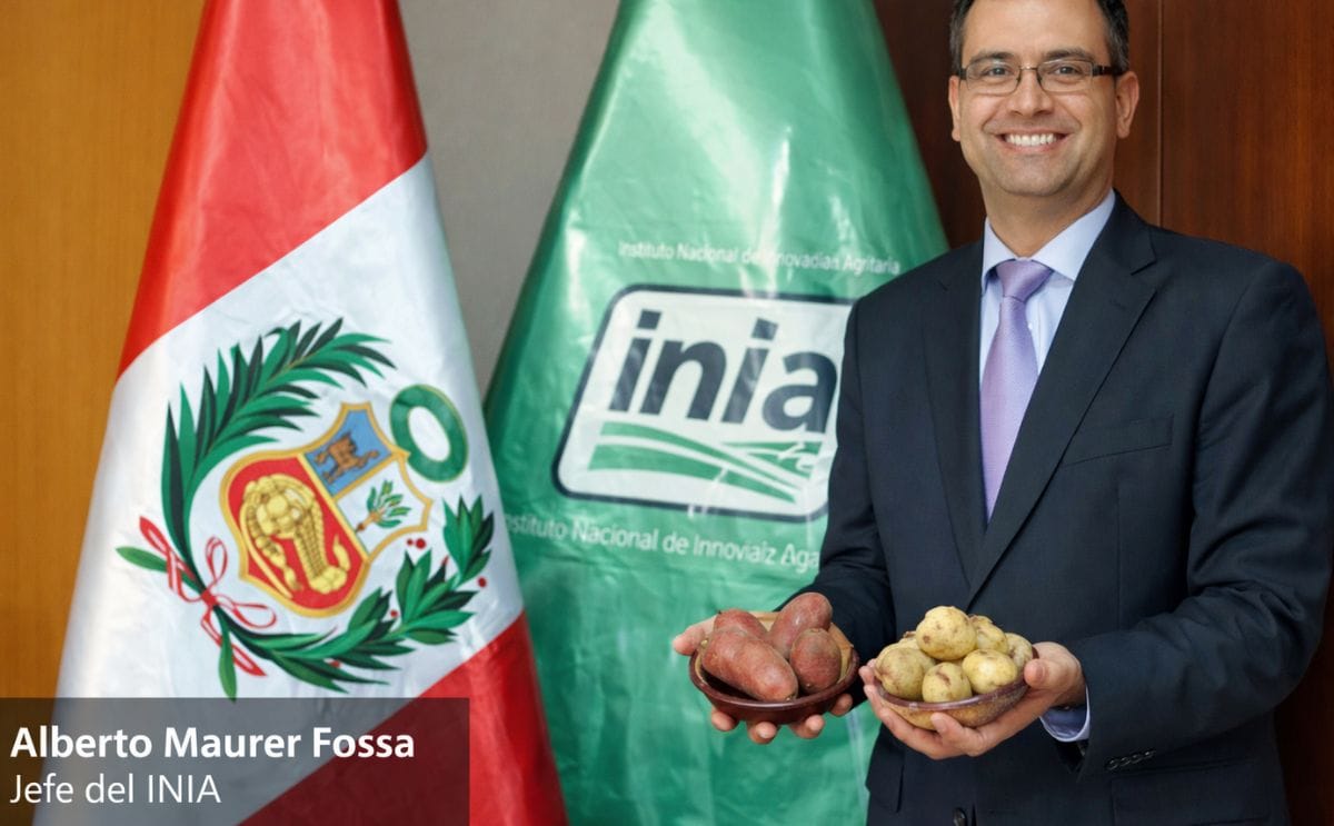 Perú: Según el jefe del INIA, las variedades de papas nativas serán resistentes al cambio climático