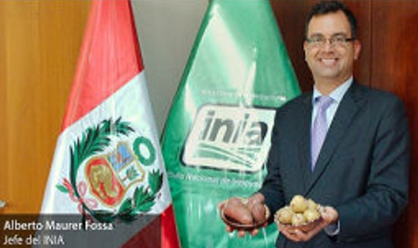 Perú: Según el jefe del INIA, las variedades de papas nativas serán resistentes al cambio climático