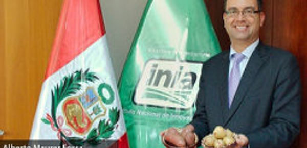 Perú: Según el jefe del INIA, las variedades de papas nativas serán resistentes al cambio climático
