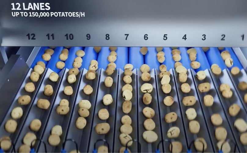 12 lines, up to 150 000 potatoes/H 12 lines, up to 150 000 potatoes/H