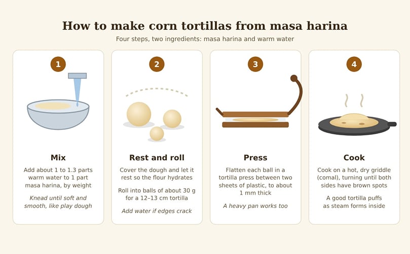How to make corn tortillas from masa harina in four steps. How to make corn tortillas from masa harina in four steps.