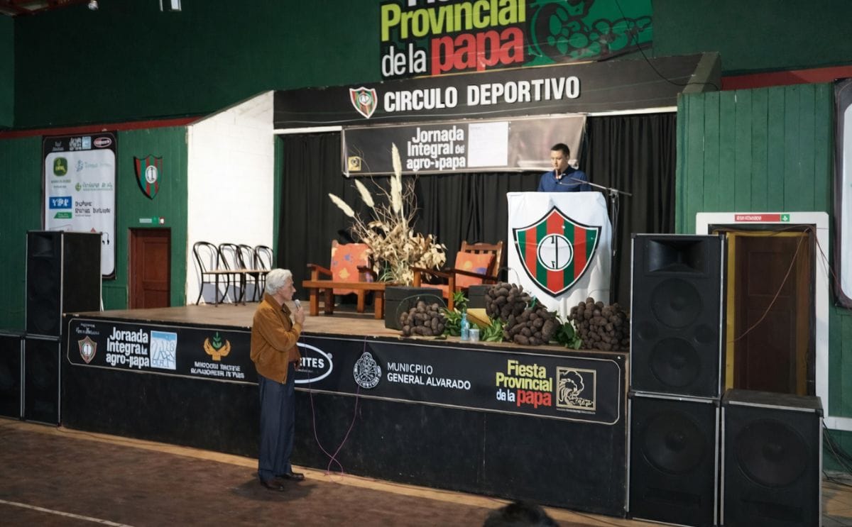 La superficie sembrada con papa en Buenos Aires se redujo en 1.000 hectáreas La superficie sembrada con papa en Buenos Aires se redujo en 1.000 hectáreas