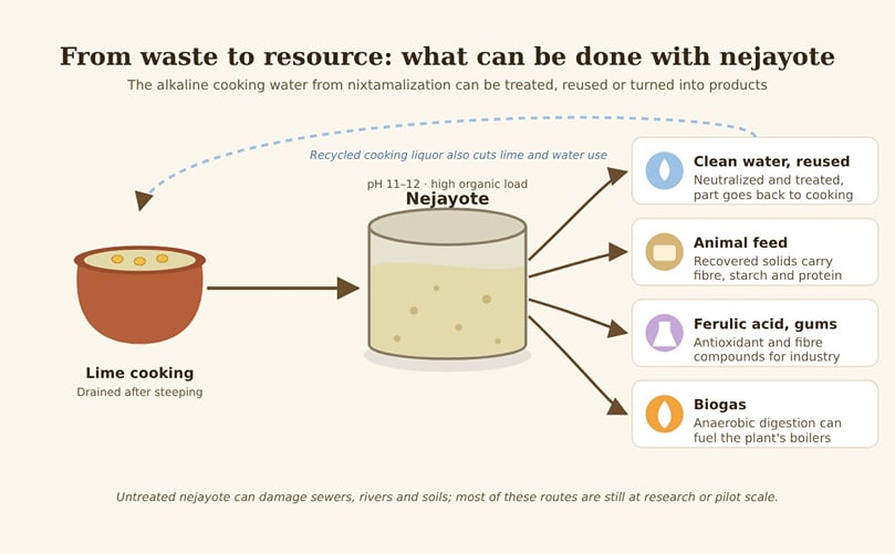 Ways to treat and reuse nejayote. Ways to treat and reuse nejayote.