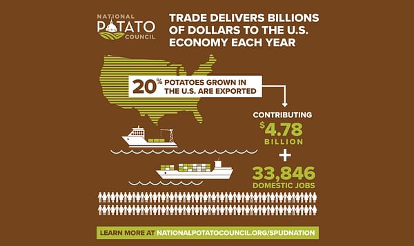 El 20% de las papas cultivadas en los Estados Unidos se exportan.