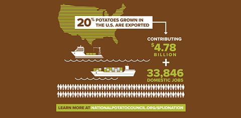 20% of potatoes grown in the USA are exported