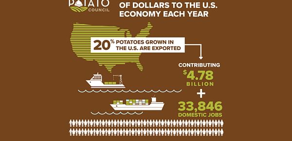 20% of potatoes grown in the USA are exported