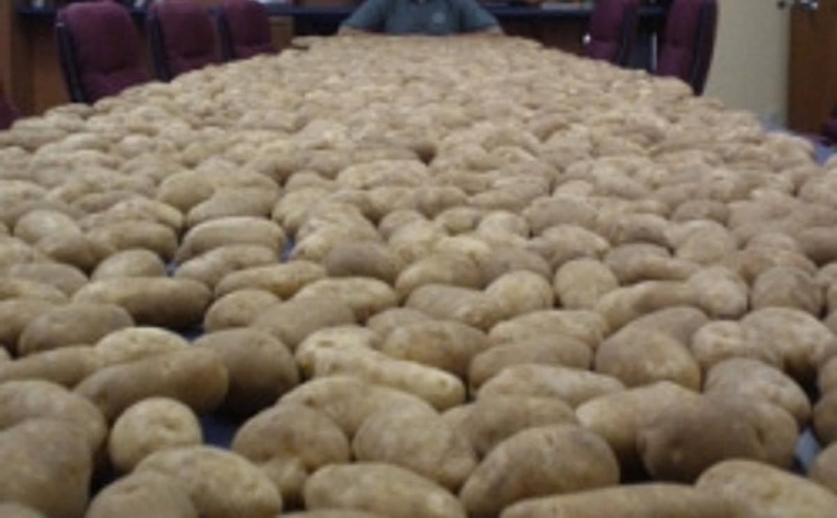 Washington potato director denies wrongdoing in republican primary