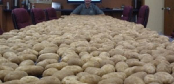 Chris Voigt, well know form his 20-potatoes-a-day diet