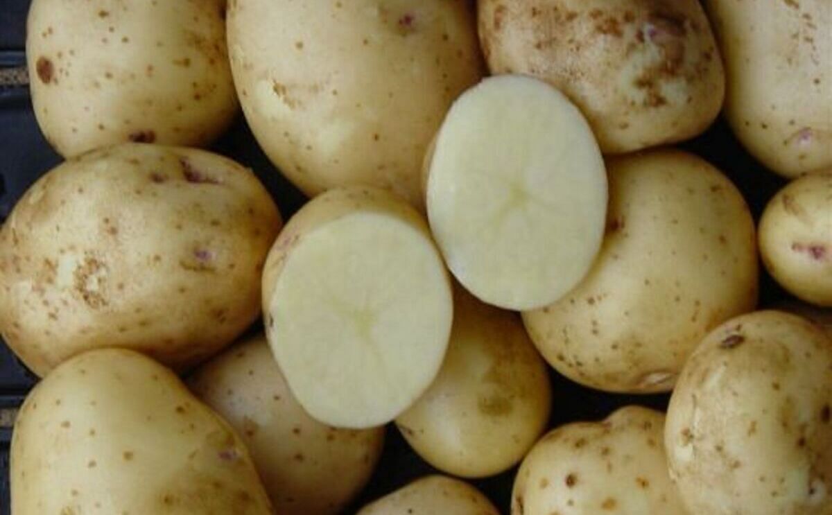 Atributos valorados por los consumidores de papas frescas producidas con bajo impacto ambiental