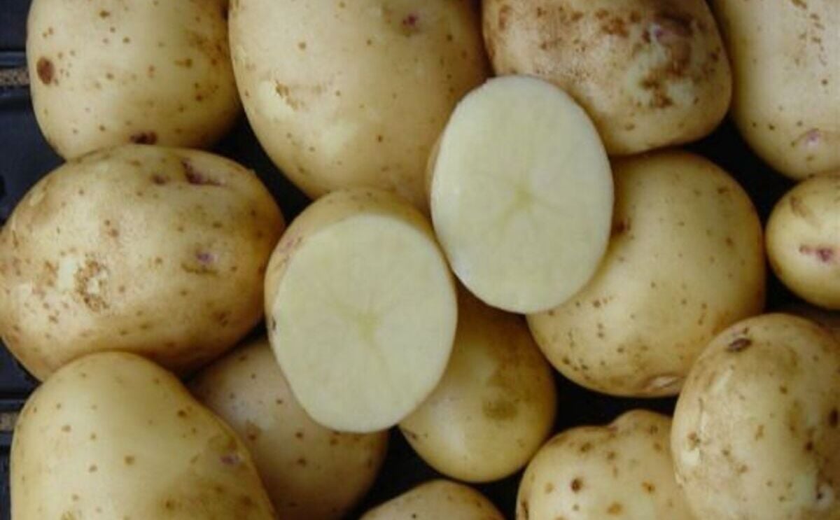 Atributos valorados por los consumidores de papas frescas producidas con bajo impacto ambiental Atributos valorados por los consumidores de papas frescas producidas con bajo impacto ambiental