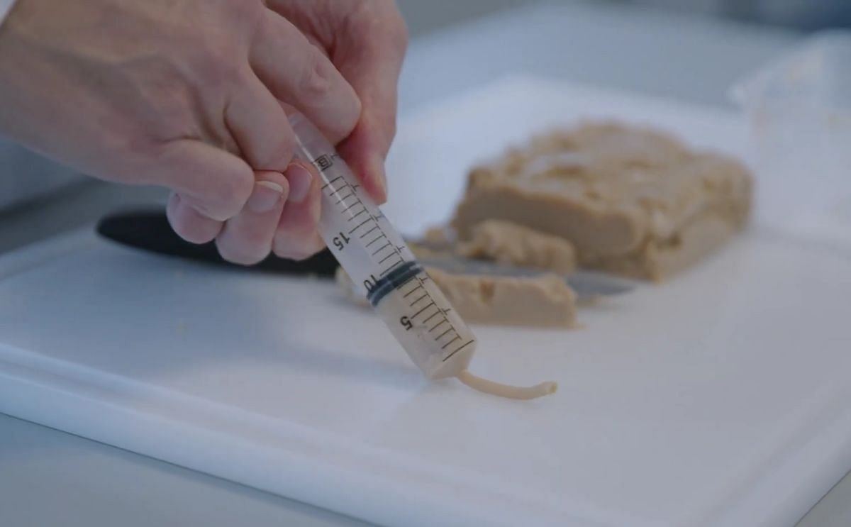  This is our time: Royal Avebe and TNO pioneering the future of sustainable, plant-based food through cutting-edge 3D printing technology.