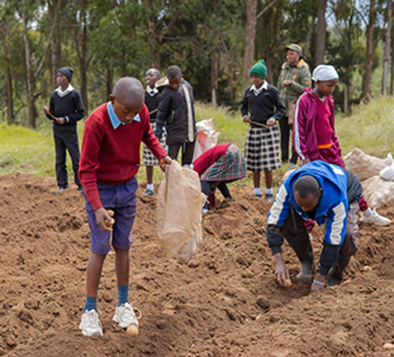 4K Club members plant potatoes at FreshCrop Farm in Kenya, gaining hands-on experience in potato production through the WPC 2026 ‘Growing the Future’ Youth Legacy Program. 4K Club members plant potatoes at FreshCrop Farm in Kenya, gaining hands-on experience in potato production through the WPC 2026 ‘Growing the Future’ Youth Legacy Program.