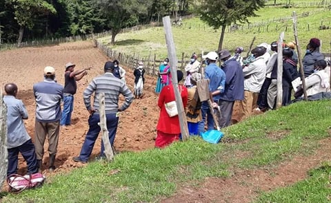 50,000 Kenyan potato farmers are partnering with Agrico PSA! 50,000 Kenyan potato farmers are partnering with Agrico PSA!