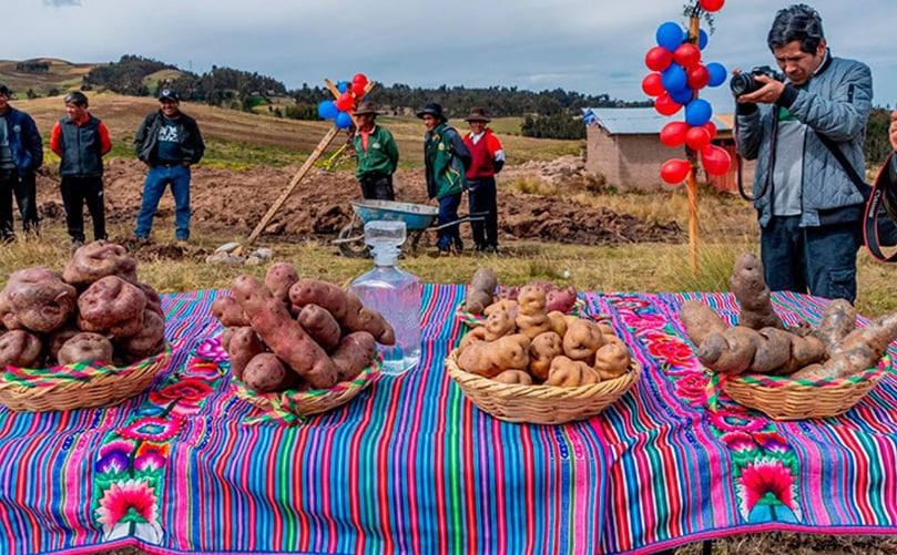 Native potato varieties were displayed during the groundbreaking ceremony for the new Native Potato Processing Plant in Acobamba, Huancavelica Native potato varieties were displayed during the groundbreaking ceremony for the new Native Potato Processing Plant in Acobamba, Huancavelica