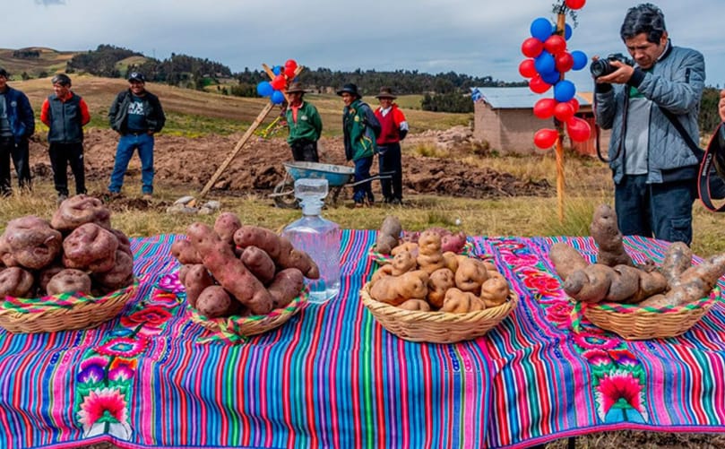 Native potato varieties were displayed during the groundbreaking ceremony for the new Native Potato Processing Plant in Acobamba, Huancavelica Native potato varieties were displayed during the groundbreaking ceremony for the new Native Potato Processing Plant in Acobamba, Huancavelica