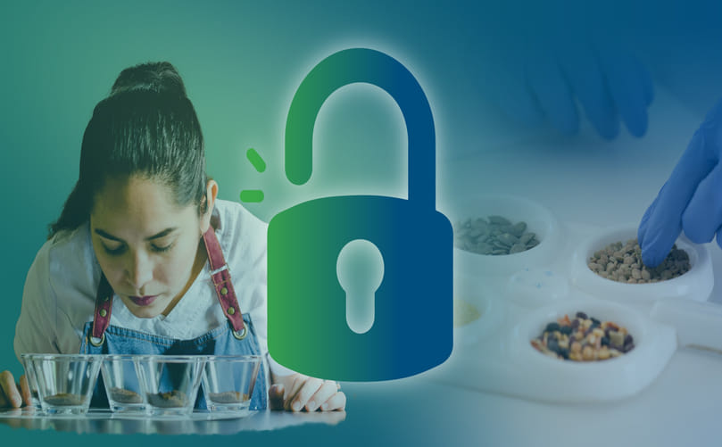 Decoding Taste and Aroma: Principles of Sensory Evaluation of Snacks