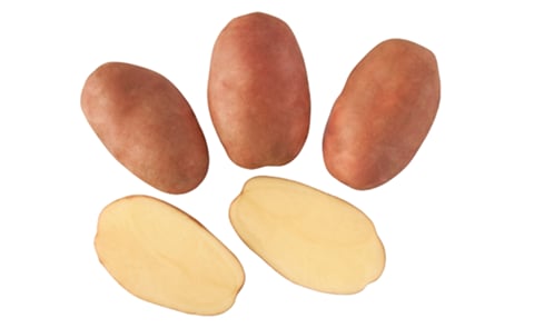 BARTINA BARTINA