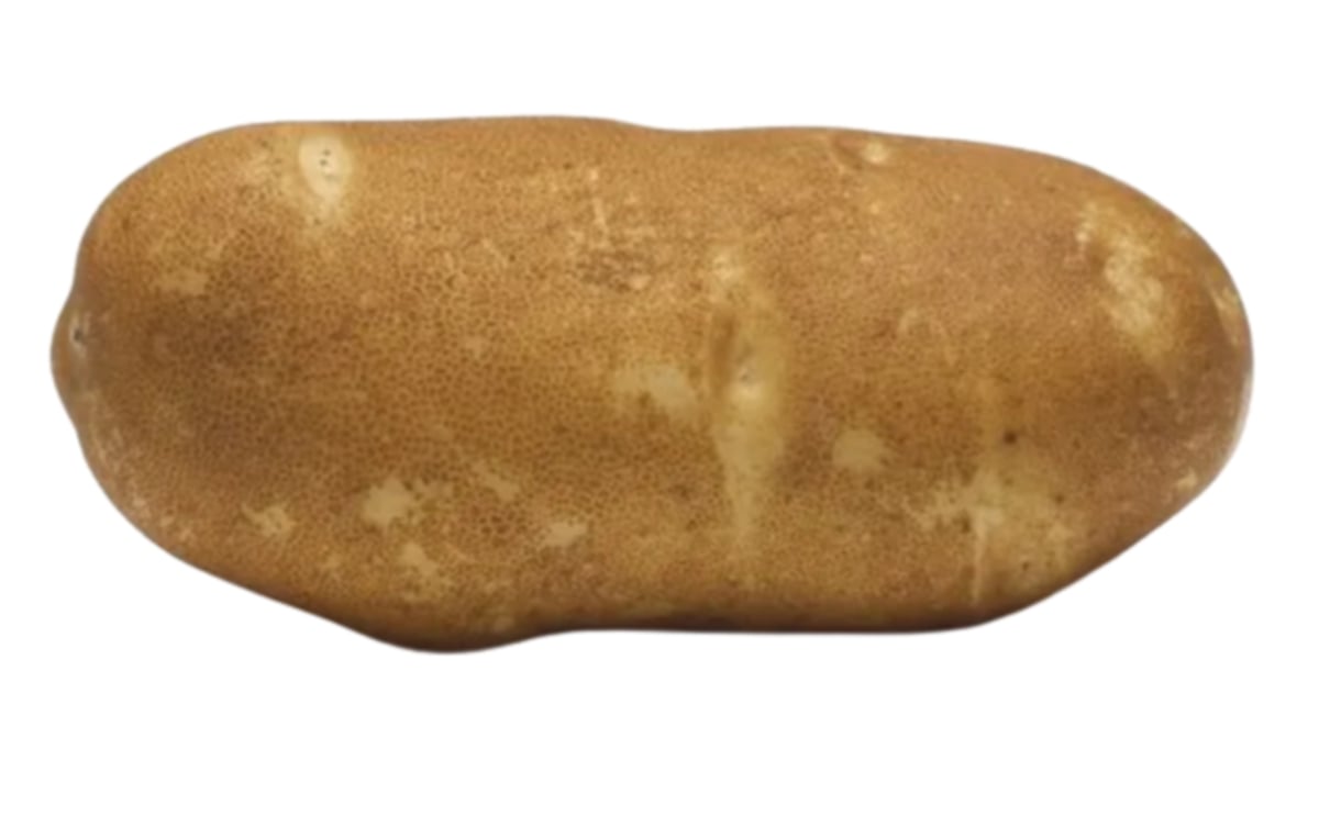 CLASSIC RUSSET CLASSIC RUSSET