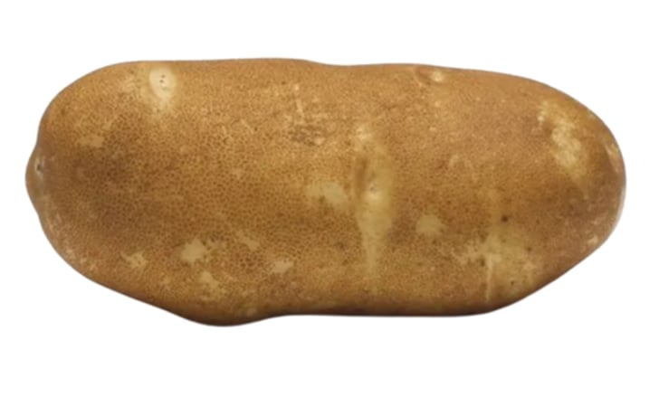 CLASSIC RUSSET CLASSIC RUSSET