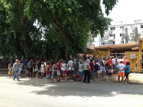 Cuba busca semillas de papa en Escocia