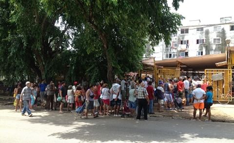 Cuba busca semillas de papa en Escocia Cuba busca semillas de papa en Escocia