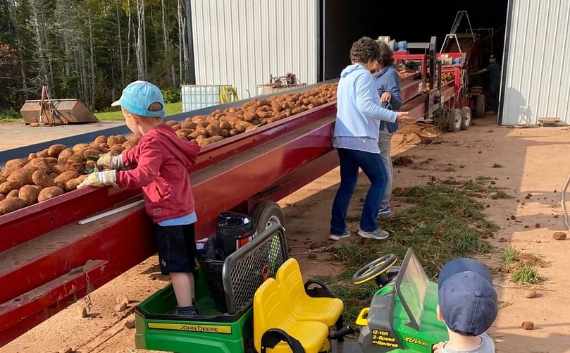 Deanna Gaudet likes to make sure her kids are around the farm. Here, they are learning about potato packing on the job.