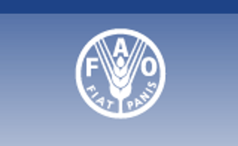 FAO: Food price volatility a major threat to food security but no indication of a global food crisis FAO: Food price volatility a major threat to food security but no indication of a global food crisis