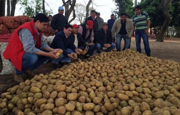 [Triptico] Guía técnica para el cultivo de la papa en Paraguay