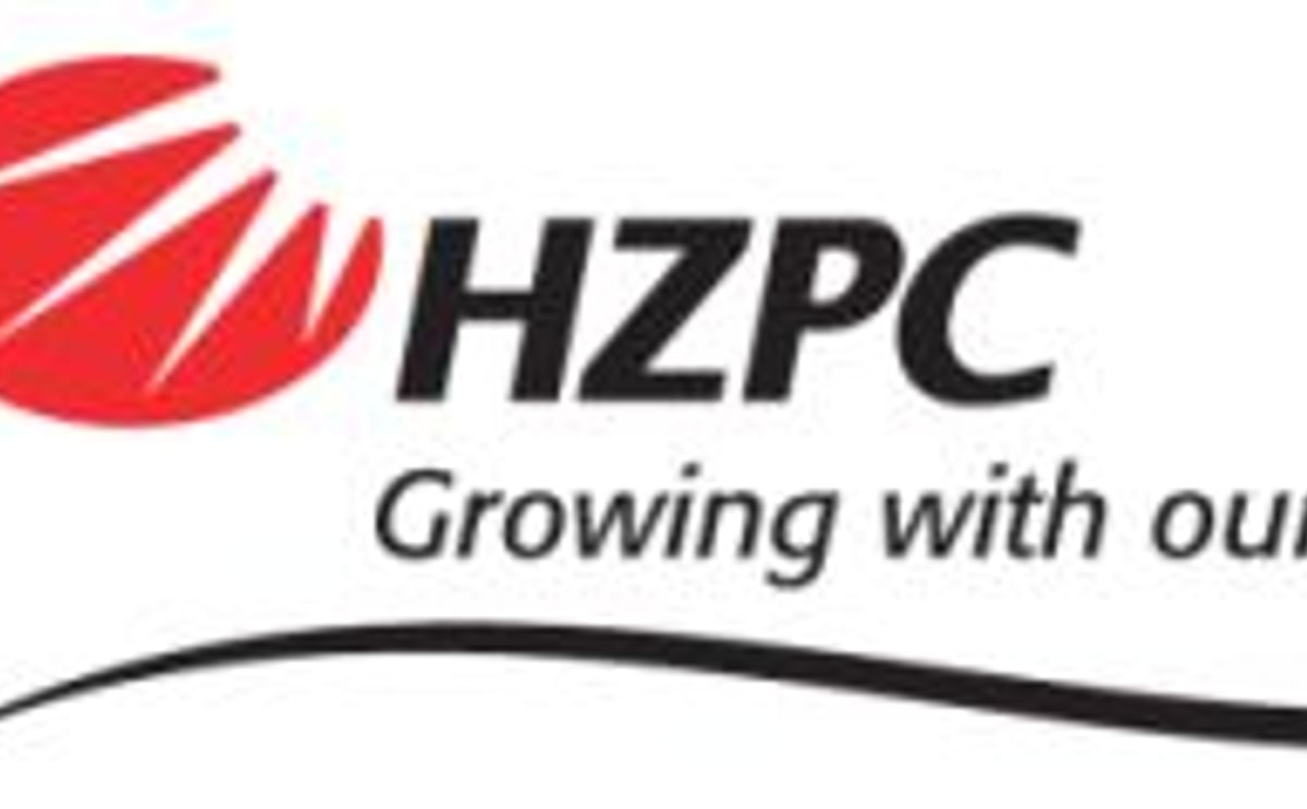 HZPC HZPC