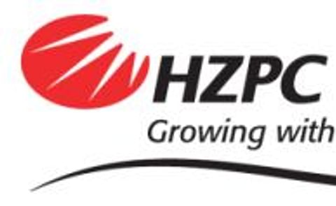 HZPC reports financial results: a good year HZPC reports financial results: a good year