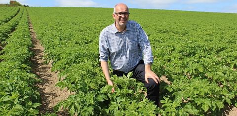 Europe’s potato industry falls victim to extreme weather