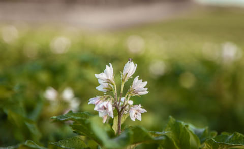 Sector productivo molesto con el ministro en Costa Rica Sector productivo molesto con el ministro en Costa Rica