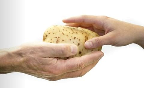 Lamb Weston / Meijer publishes sustainability report Lamb Weston / Meijer publishes sustainability report