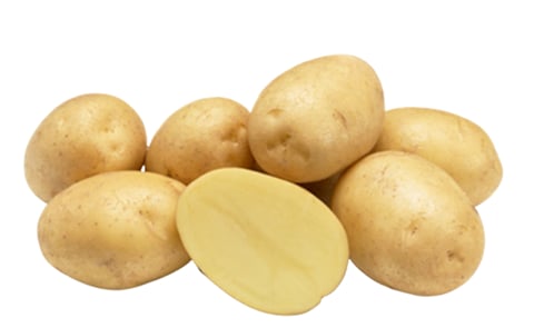 MADELEINE MADELEINE