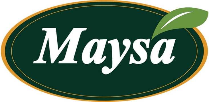 Maysa