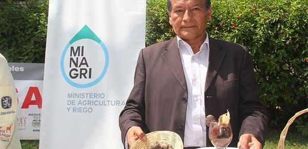 Perú importa 35 mil toneladas de papa para abastecer el negocio de la pollería