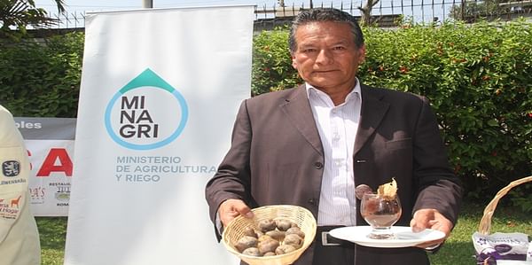 Perú importa 35 mil toneladas de papa para abastecer el negocio de la pollería