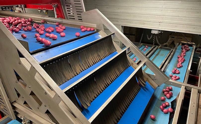 Sorting Sorting