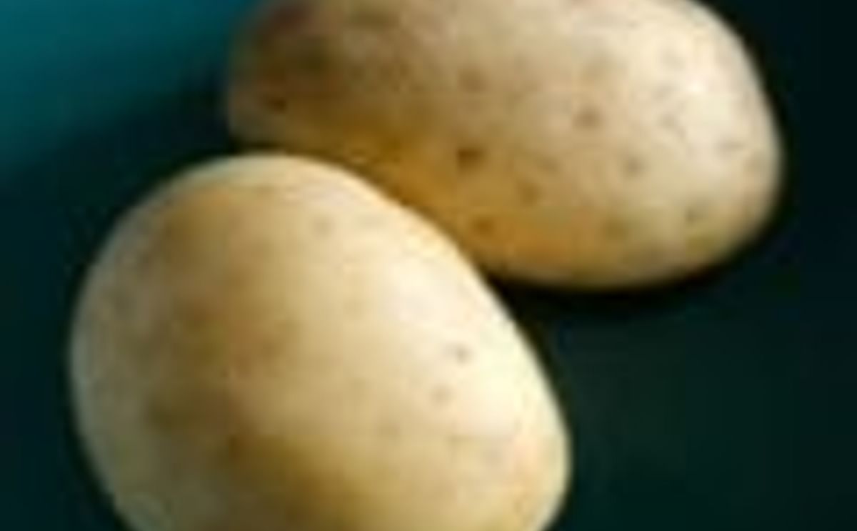 When did potatoes become unpopular?